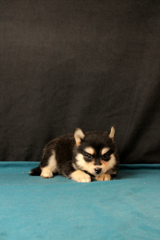 #